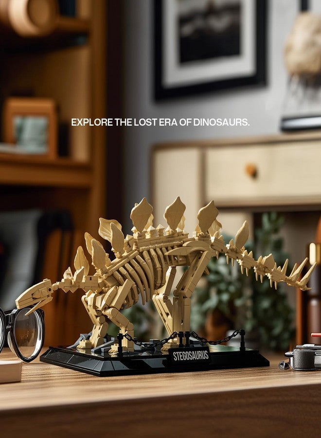 Nifeliz Stegosaurus Fossils Model Set, Dinosaur Skeleton Building Set with Display Base for Adults, Ideal Gift for Enthusiasts and Collectors (665 PCS, NF10353) - Image 2
